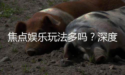 焦点娱乐玩法多吗?深度解析其丰富游戏种类与特色