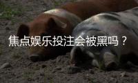 焦点娱乐投注会被黑吗？揭秘平台安全性与防黑技巧