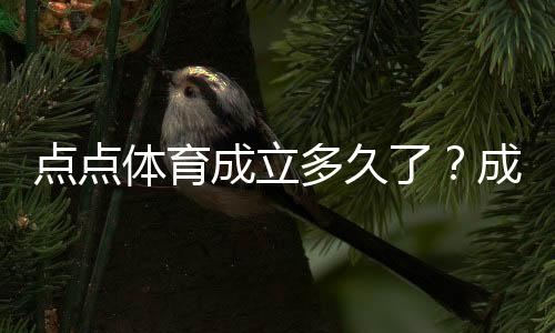 点点体育成立多久了？成立时间、发展历程与最新动态一文看懂