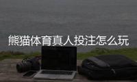熊猫体育真人投注怎么玩？新手入门、玩法规则与实用投注技巧