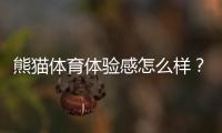 熊猫体育体验感怎么样？真实体验评测、优缺点与新手使用攻略