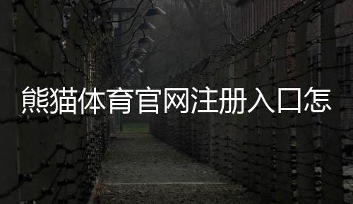 熊猫体育官网注册入口怎么注册？新手一分钟学会完整注册流程与常见问题