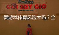 爱游戏体育风险大吗？全面风险评估与新手避险攻略