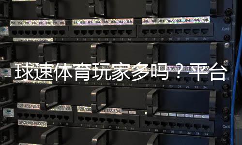 球速体育玩家多吗？平台人气与真实玩家体验解析