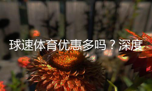 球速体育优惠多吗?深度解析其福利活动与玩家体验