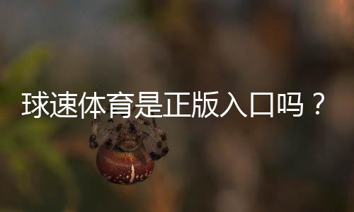球速体育是正版入口吗？权威验证与安全下载指南