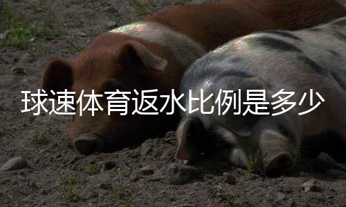 球速体育返水比例是多少?最新返水政策及领取攻略详解