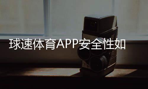 球速体育APP安全性如何?深度测评其资金保障与数据防护