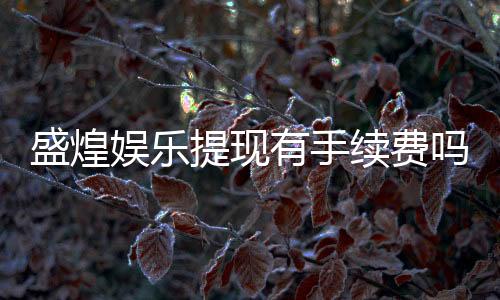 盛煌娱乐提现有手续费吗？全面解析手续费标准与到账时间