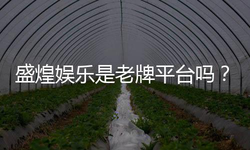 盛煌娱乐是老牌平台吗？资深玩家带你揭秘其历史与实力