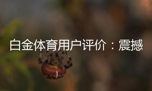 白金体育用户评价:震撼好坏!