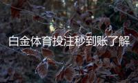 白金体育投注秒到账了解一下？