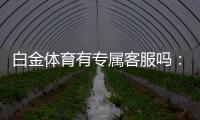 白金体育有专属客服吗：玩家福利大揭秘