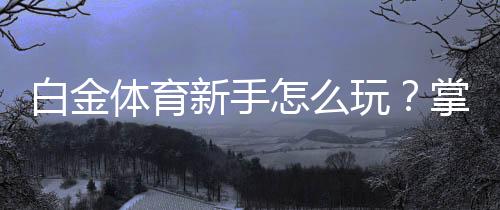 白金体育新手怎么玩？掌握技巧游刃有余