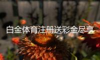 白金体育注册送彩金尽享独特游戏体验