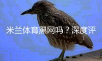 米兰体育黑网吗？深度评测与真实用户投诉、风险防范指南