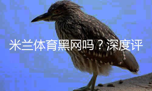 米兰体育黑网吗？深度评测与真实用户投诉、风险防范指南