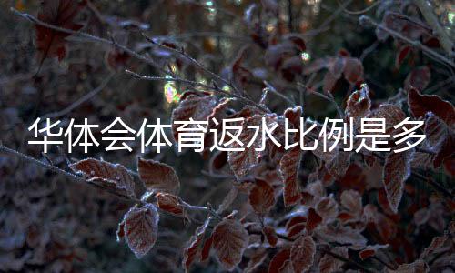 华体会体育返水比例是多少？最新返水比例、计算公式与领取注意事项全面解析