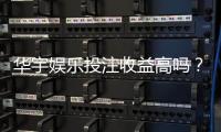 华宇娱乐投注收益高吗？深度解析高回报背后的真相与技巧