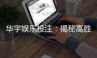 华宇娱乐投注：揭秘高胜率玩家的投注技巧与心得