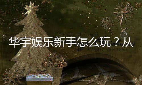 华宇娱乐新手怎么玩?从注册到赢钱的完整入门指南