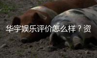 华宇娱乐评价怎么样？资深玩家真实体验分享