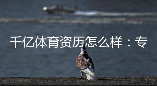 千亿体育资历怎么样:专业评测揭秘