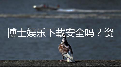 博士娱乐下载安全吗?资深玩家揭秘平台安全性与下载攻略