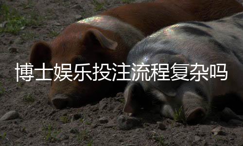 博士娱乐投注流程复杂吗？资深玩家3分钟带你轻松上手