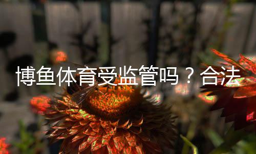 博鱼体育受监管吗?合法性、监管机构与用户安全保障全面解析