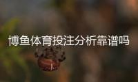 博鱼体育投注分析靠谱吗？全面评测：真实效果、风险与使用建议