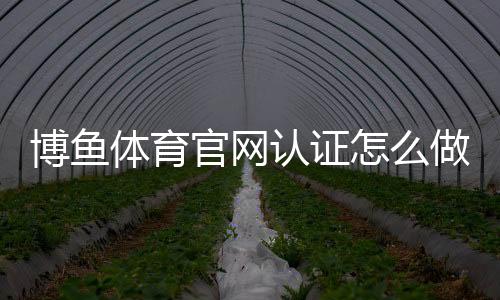 博鱼体育官网认证怎么做？新手快速完成实名认证与常见问题解析