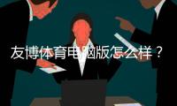 友博体育电脑版怎么样？安装体验、玩法功能与安全性全面评测
