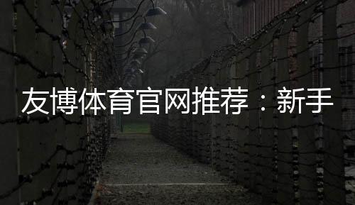 友博体育官网推荐:新手必看平台评测、注册充值教程与安全保障解析