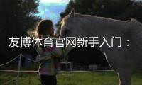 友博体育官网新手入门：注册登录、充值提现与优惠安全完整教程