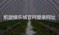 凯旋娱乐城官网登录网址：畅享顶级游戏体验与安全登录指南
