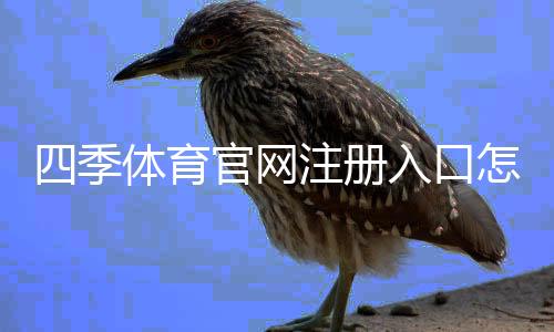 四季体育官网注册入口怎么进?最新版注册流程与常见问题解答