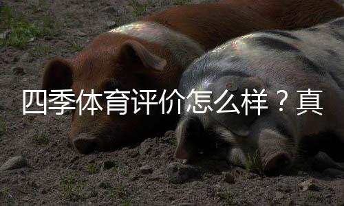 四季体育评价怎么样？真实用户口碑、玩法体验与安全性全面解析