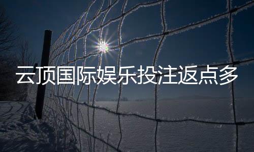 云顶国际娱乐投注返点多少?高返点福利详解与获取攻略