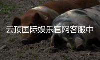 云顶国际娱乐官网客服中心：专业服务与高效解决方案指南