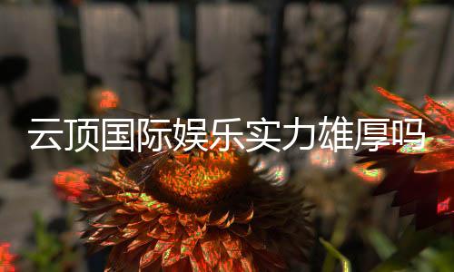 云顶国际娱乐实力雄厚吗?深度解析其平台优势与玩家口碑