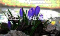 享受生活，尽在锦绣国际手机APP下载
