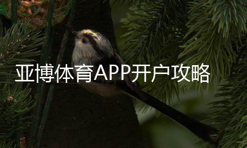 亚博体育APP开户攻略：新手注册流程、身份验证与首存优惠详解