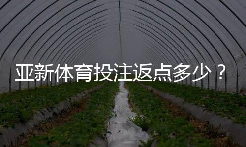 亚新体育投注返点多少？最新返点比例、计算方法与领取攻略