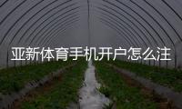亚新体育手机开户怎么注册？新手图文教程、验证流程与常见问题详解