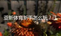 亚新体育新手怎么玩？注册、充值、投注全流程与实用入门攻略