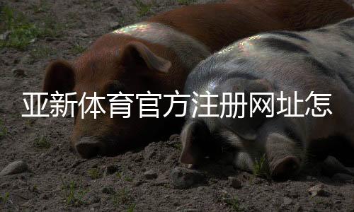 亚新体育官方注册网址怎么找?官方注册链接、注册步骤与安全验证详解