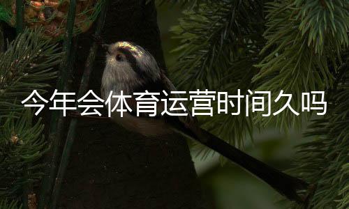今年会体育运营时间久吗?平台稳定性、续约可能性与用户应对攻略