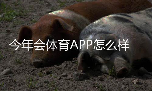 今年会体育APP怎么样？2026最新版深度评测：功能、直播与使用体验
