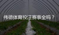 伟德体育投注赛事全吗？赛事覆盖、赔率与投注玩法全面解析